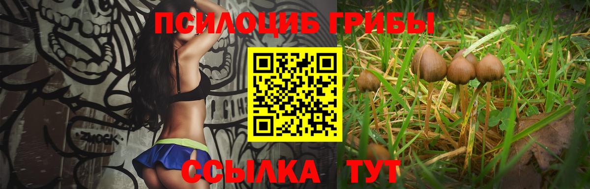 Пугачёв  Псилоцибиновые грибы мухоморы  Вход с VPN 